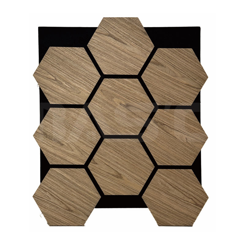Hexagonal Sound-Absorbing Panel
